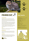 Fishing Cats Fun Facts
