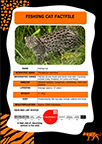 Fishing Cats Factable