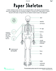 Halloween Skeleton