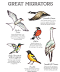 Great Migrators