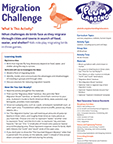 Migration Challenge