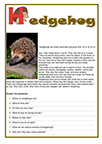 Hedgehog 1