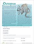 Octo-Activity