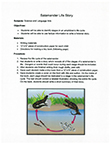 salamander 3