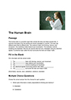 Brain Worksheet