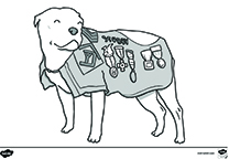 Stubby Coloring Page