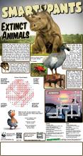 Extinct Animals Solution