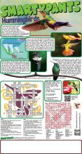 Hummingbird puzzle Answers