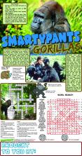Answers to the Gorilla Page
