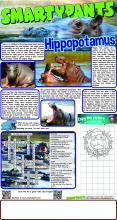Hippopotamus Answers