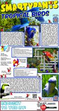 Tropical Birds Answers Page