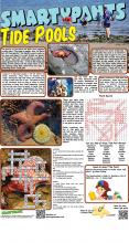 Tide Pools Answers
