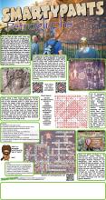 072422 Petroglyphs Answers