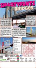 080722 Bridges Solutions