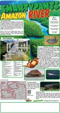 Amazon River Solutions