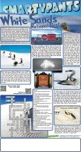 White Sands Solutions