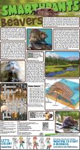 101622 Beavers Answers