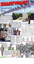 110622 Veteran's Day Solutions