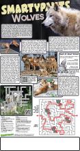 011322 Smartypants Wolves Answers