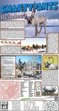 120422 Reindeer Solutions