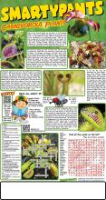 Carnivorous Plant Solution