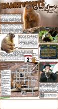 012923 Groundhogs solutions