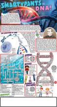 050723 DNA Solutions