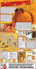 Bees Puzzle Solution