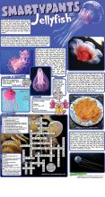 Jellies Answers