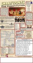 The Constitution SOlutions