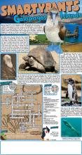 Galapagos Answers