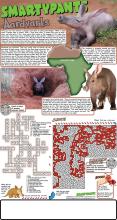Aardvark Solutions