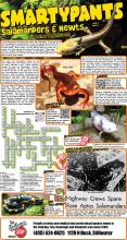 033124 Salamanders and Newts 