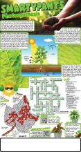 Photosynthesis Solutions