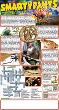 072824 Invasive Species Solutions