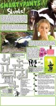 Skunks! Solutions