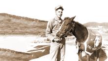 Sergeant Reckless