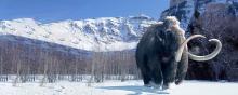 Mammoth
