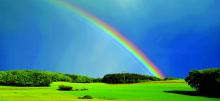 Rainbow