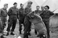 Soldiers with Wojtek